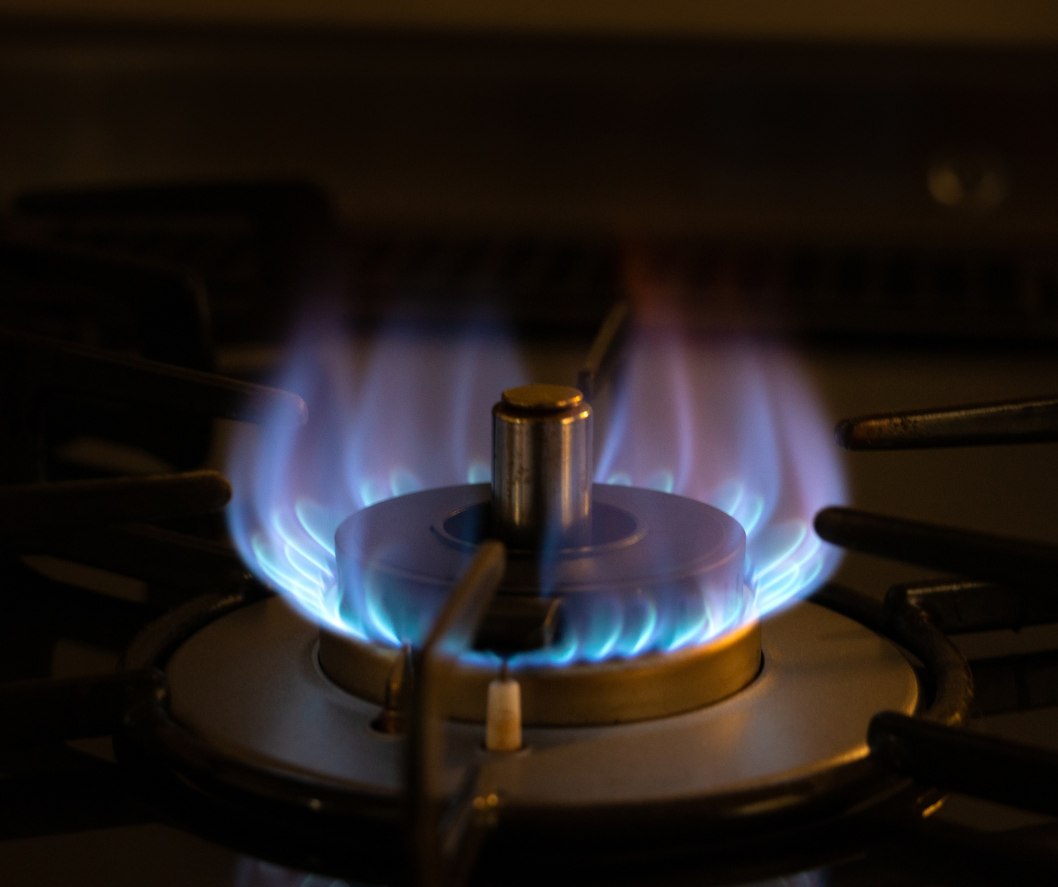 Gas stove maintenance service in Thane